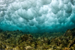ice diving ?
nope !
just under the shorebreak ! by Mathieu Foulquié 